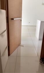 The Stellar (D5), Condominium #497871781